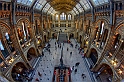 Museo di storia naturale (South Kensington)